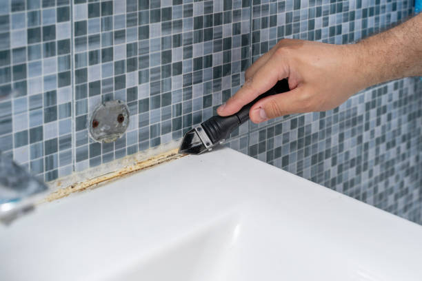 Best Mold Testing  in Lan, MI
