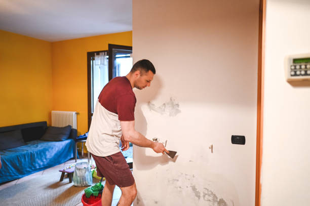 Best Affordable Mold Removal  in Lan, MI